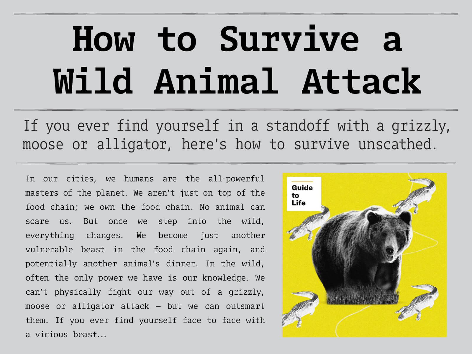 How to Survive a Wild Animal Attack. If you ever find yourself in a standoff with a grizzly, moose or alligator, here's how to survive unscathed. Click to read more.