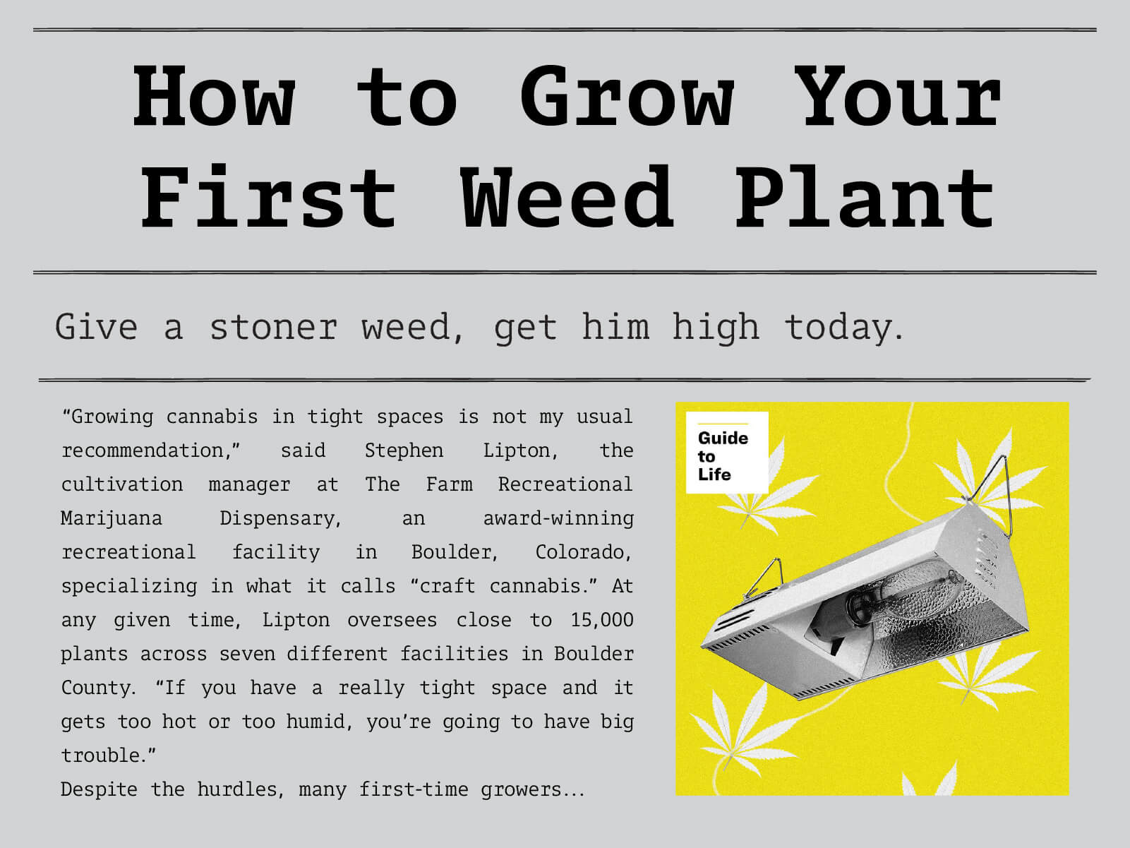 How to Grow Your First Weed Plant. Give a stoner weed, get him high today. Click to read more.